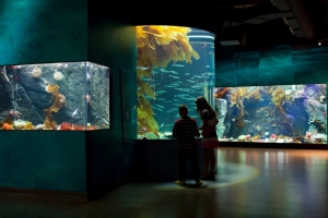 薩利希海洋水族館 Shaw Centre for the Salish Sea