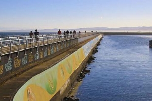 奥格登角及防波堤 Ogden Point Breakwater